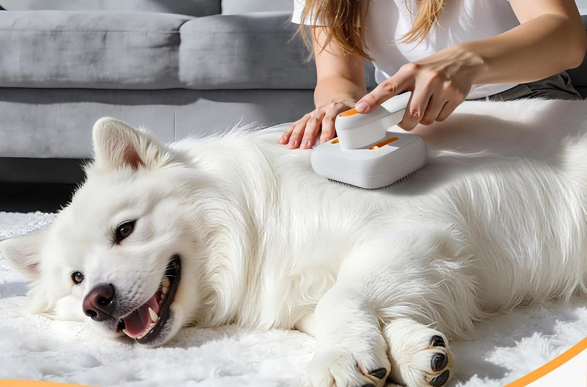 3-In-1 Pet Mist Brush for Dogs & Cats, Self-Cleaning,Rechargeable