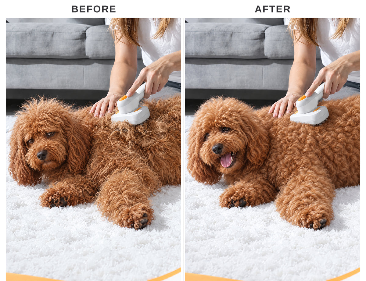 FurFresh™ 3-in-1 Pet Mist Brush 2.0